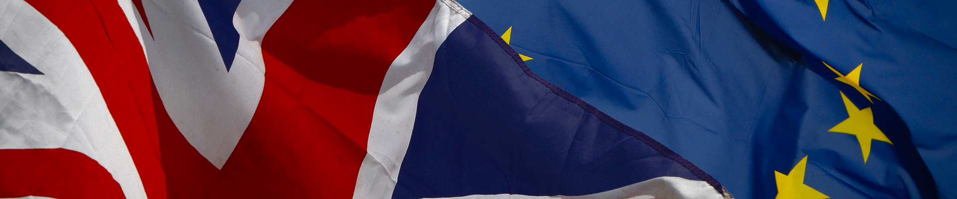 eea swiss banner